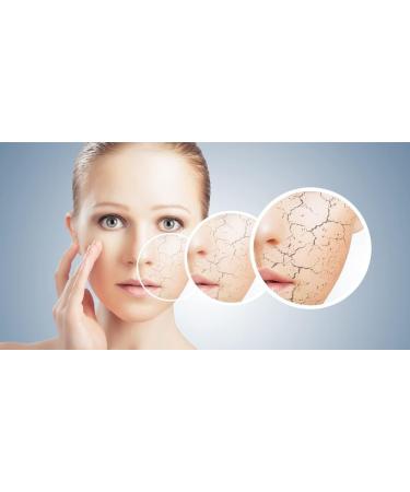 Buy Panthenol Soothing & Softening Cream 50g - Hydrating Moisturizer for All Skin Types - Fast International Shipping - Buy Online on GoSupps.com