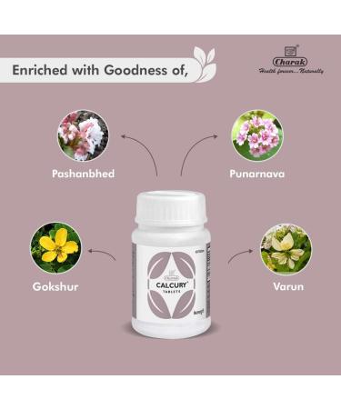 Charak Pharma Calcury Tablet for Urinary Calculus (Pack of 3) - Buy Online on GoSupps.com