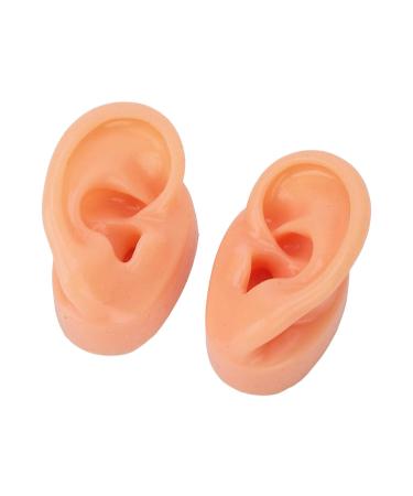 Silicone Human Ear Model for IEM Earphones Display - Professional Lecturing Display - Buy Online on GoSupps.com