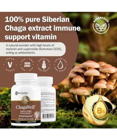 ChagaWell 500mg Chaga Mushroom Capsules - Focus Mental Clarity Immune Booster for Men and Women Non-GMO & Gluten Free Supplement (60 Capsules) 60 Count (Pack of 1) - Buy Online on GoSupps.com