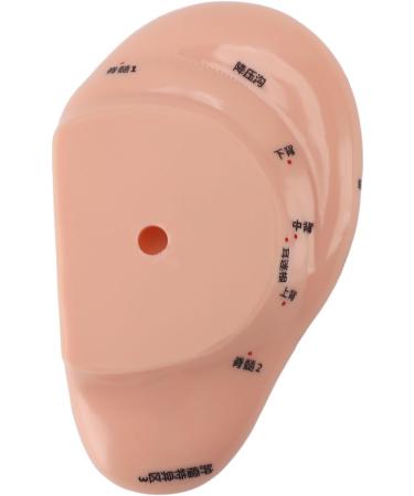 Buy Ear Acupuncture Display Model - Clear Point Visibility for Study Presentations | International Shipping Available - Buy Online on GoSupps.com