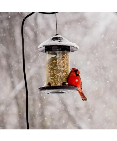 Bird Food 10 kg Bird Food Mix 4 Seasons Top (10 kg) - Buy Online on GoSupps.com