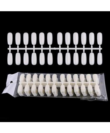 Gelatin Display Gelatin Polish Color Sample Display Book Chart Nail Art Acrylic Display Nail Art False Display for Nail Art French Manicure At Home - Buy Online on GoSupps.com