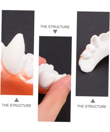 Lurrose 60 STK Halloween Teeth - Realistic Cosplay Werewolf Teeth for Parties | Artificial Plastic Tubs - Buy Online on GoSupps.com