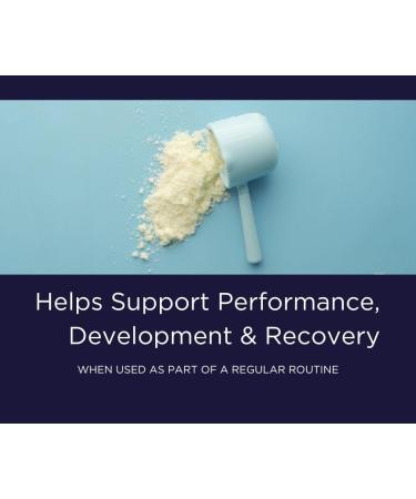 Primal Build Pre Workout Powder - EAA Amino Energy for Men & Women - Maximize Gains & Reduce Muscle Soreness - Citrus Flavor (30 Servings - Buy Online on GoSupps.com