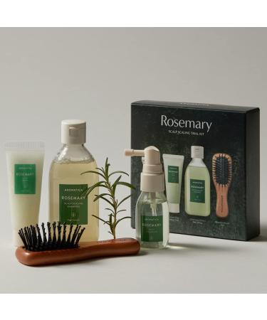AROMATICA Rosemary Scalp Scaling Trial Kit with Mini Wooden Hair Brush - Clearer, Dandruff-Free Hair - Plant-Based Vegan Shampoo - 3.38 fl. oz Shampoo + 1.01 fl. oz Root Enhancer & Scalp Scrub - Buy Online on GoSupps.com