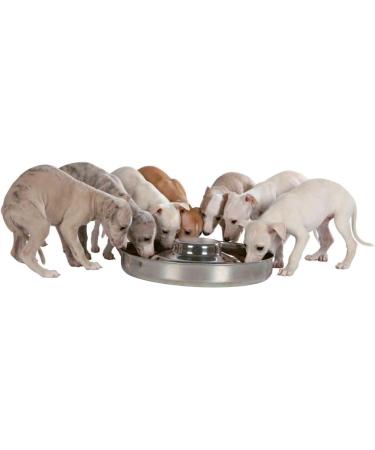 Trixie Stainless Steel Puppy Bowl - 29 cm Dia | Durable & Easy to Clean - Buy Online on GoSupps.com