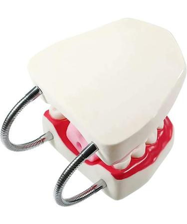 Gljy Dental Clinic Standard Model - Ideal for Teeth & Gum Demonstrations | Easy to Use & Maintain - Buy Online on GoSupps.com