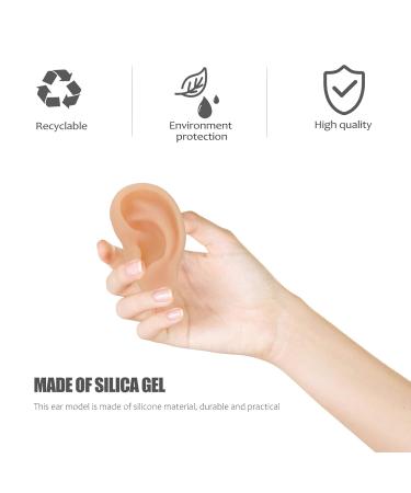 Buy Beavorty Ear Training Model - Realistic Left Ear Simulation for Teaching & Education | International Shipping Available - Buy Online on GoSupps.com