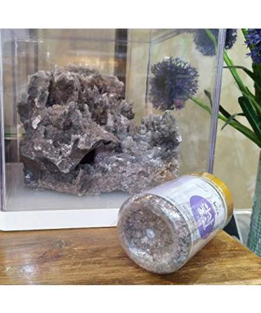 Ultimate Purple 9X Bamboo Salt (Crystal) 240g - Pure and Potent | Shop Now! - Buy Online on GoSupps.com