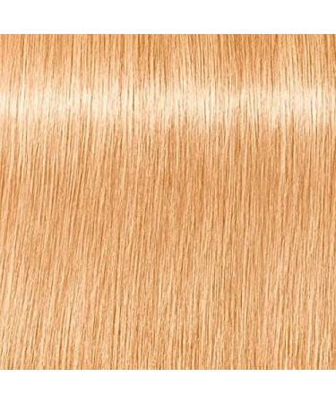 Schwarzkopf Igora Chroma ID Color Mask 9.5-1/Ice 250ml - Intense Conditioning Hair Color - Buy Online on GoSupps.com