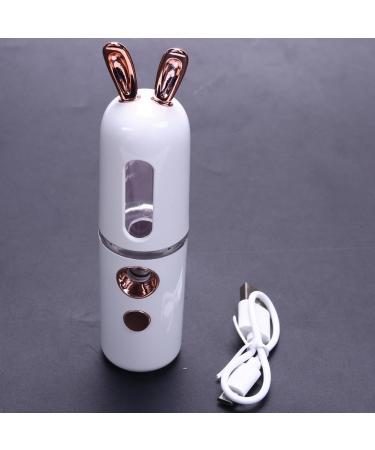 Tovmekdjn New Mini USB Rechargeable Nano Hydrator Sprayer Women Beauty Instruments Home Use Humidifier Face Steamer Easy Install Easy to Use White - Buy Online on GoSupps.com