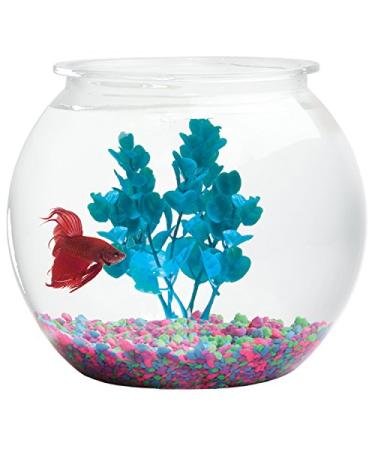 Buy Koller Products Panaview 1-Gallon Globe Fish Bowl - Stylish Home Aquarium - Buy Online on GoSupps.com