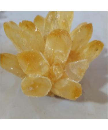Natural Crystal Rough Crystal Cluster Rare New Yellow Phantom Quartz Crystal Cluster Specimen Home Decoration Office Living Room Crystal Decora (Size : 500-600g) - Buy Online on GoSupps.com