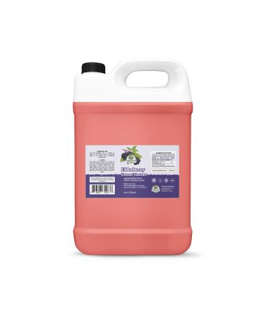 Amazing Botanicals Elderberry Extract 100X Strength Tincture - Sambucus Elderberry Immune Support & Wellness Supplement* | Organic Elderberry Syrup Extract - Non-GMO, Vegan, Sugar Free - (64 Fl Oz)