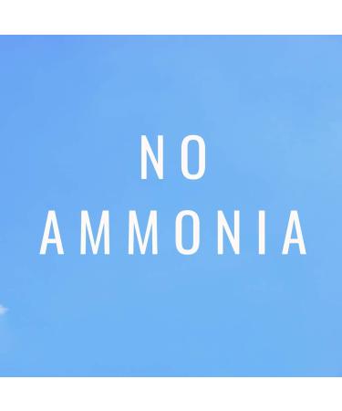 Buy EKOEH BRASIL Dark Brown Hair Color Cream - PPD Free & Vegan | 2.7 fl. oz - International Shipping Available - Buy Online on GoSupps.com