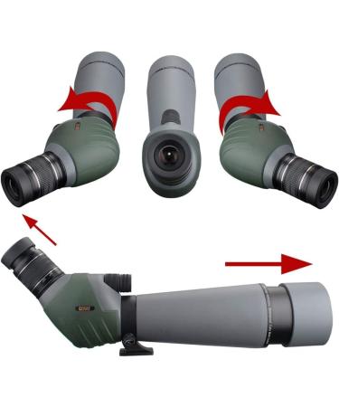 Gosky 20-60x80 Dual Focusing ED Spotting Scope with Smartphone Adapter | Ultra HD Optics for Bird Watching, Hunting, Astronomy | Includes Carrying Case - Buy Online on GoSupps.com