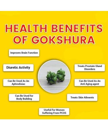 SEP Nerunji Mull 300g | Gokhru | Tribulus terrestris | Gokshura | Nerinjil mul - Buy Online on GoSupps.com