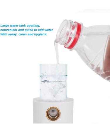 Nano Face Mist Sprayer Portable Moisturizing Face Humidifier with USB Charging White - Buy Online on GoSupps.com