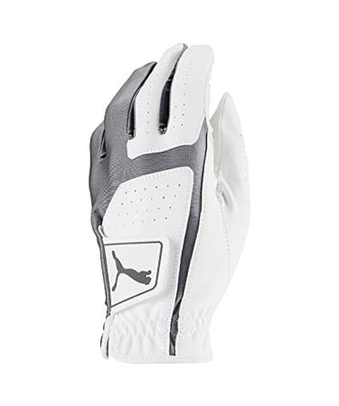 PUMA Golf Men's Flexlite Golf Glove (worn on left hand) Bright White-Quiet Shade Large Left