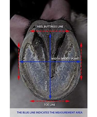 Equine F. Active Jogging Shoe Size 14 (2) - Premium Quality for Optimal Performance | International Shipping Available - Buy Online on GoSupps.com