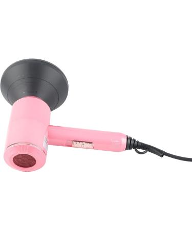 Electronic Hair Dryer Compact Hair Dryer Fast Drying Low Noise Blow Dryer High Powered Overheat Negative Ion Hair Dryer for Home (US Plug 110V) - Buy Online on GoSupps.com