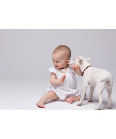100% Baltic Amber Dog Necklace & Collar - Natural Tick Protection for Dogs & Cats | Amber from Lithuania - Buy Online on GoSupps.com