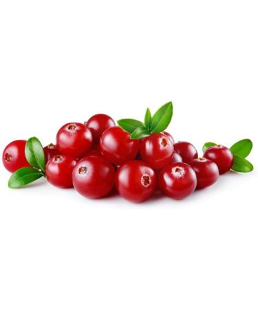  Teisseire Teisseire Raspberry and Cranberry Drink Syrup 0% - 600 ml - syrup as tasty as the fruit (pack of 6) - Buy Online on GoSupps.com