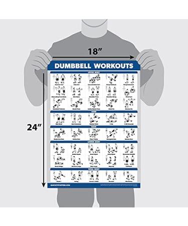 QuickFit Dumbbell & Kettlebell Exercise Poster Set - 2 Chart Set for Dumbbell Routine & Kettlebell Workouts - 18x27 Laminated - Buy Online on GoSupps.com
