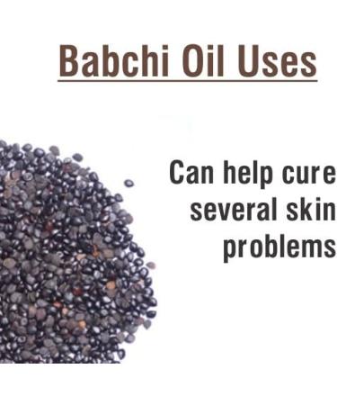 Babchi Carrier Oil - 100% Pure Psoralea Corylifolia, Cold Pressed, 15ML with Dropper - Buy Online on GoSupps.com