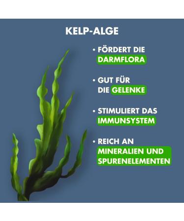 Irish Pure Hypoallergenic Dog Food 12kg - Atlantic Salmon & Kelp Grain-Free High Meat Content Sensitive Formula for All Breeds - Buy Online on GoSupps.com