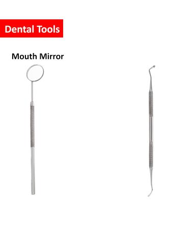 Buy STELLMACHER 8 Pcs Dental Tools - Professional Stainless Steel Teeth Cleaning Kit | Plaque Remover & Tartar Cleaner for Dental Hygiene | International Shipping Available - Buy Online on GoSupps.com