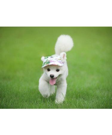 BBEAR Pet Hat for Small Dogs - Stylish Leisure Visor Baseball Sun Hat with Ear Holes & Chin Straps - Flower Design - Perfect for Outdoor Adventures - Buy Online on GoSupps.com