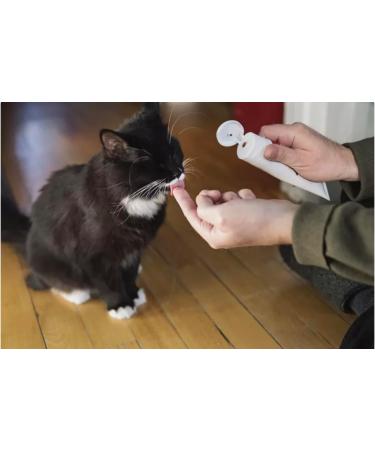 Think Outside the Gift Toothpaste for Cats Bundle which Contains Virbac Enzymatic Toothpaste For Cats Yummy Fish Flavour! 43G - Pack of 2 with Grocery List Card - Buy Online on GoSupps.com
