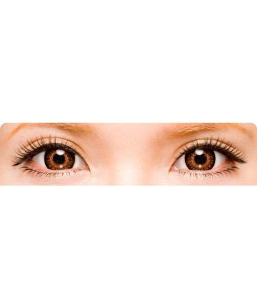 Koji Dolly Wink #11 Pure Sweet False Eyelashes - 2 Pairs for Effortless Glam - Buy Online on GoSupps.com