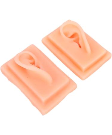 Acupuncture Ear Model for Practice | 2-Piece Set | Smooth Texture | Ideal for Students - Buy Online on GoSupps.com