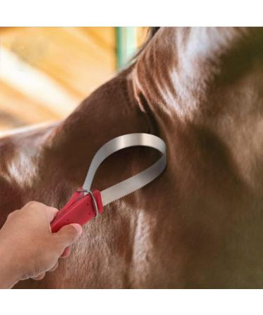 Horse Shedder Scraper Stainless Steel Horse Sweat Scraper Horse Grooming Brushes Combs Single Metal Shedding Blade - Buy Online on GoSupps.com
