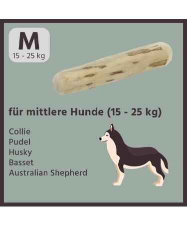 BV Petcare Coffee Wood Causab Chewing Bones | Natural Dog Toy for Dogs Up to 25 kg Best International Shipping - Buy Online on GoSupps.com