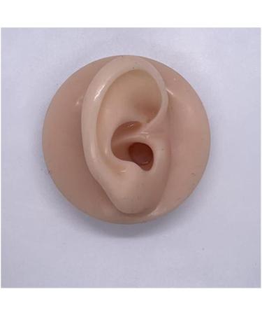 3D Life-Size Silicone Ear Model - Realistic Rubber Human Ear for Acupuncture Science Classes & Anatomical Studies (Left Ear) - Buy Online on GoSupps.com