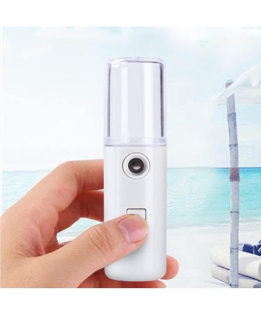 BESPORTBLE 1pc Sprayer Hydrating Humidifier Mini Humidifier Usb Portable Humidifier Facial Care Steamer Desktop - Buy Online on GoSupps.com