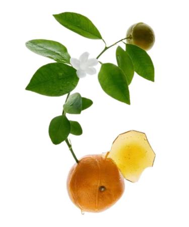 Zara Golden Sweet Decade Women's Perfume EDP Eau de Parfum 30ml (1.0 fl oz) Elegant & Captivating Fragrance - Buy Online on GoSupps.com