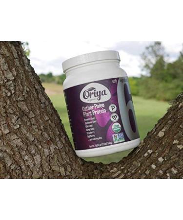 Oriya Organics Protein Plant Gather Paleo - 540g | Pure Vegan Protein Supplement - Buy Online on GoSupps.com
