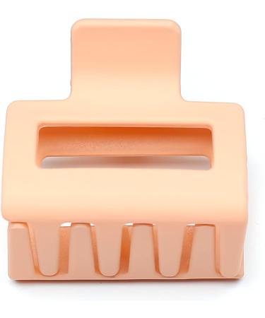 Small Hair Clip Beautiful Women's Hair Clip Headpiece Elegant Hair Accessory (Baby Pink) - Buy Online on GoSupps.com