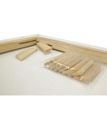 Lot of 2 Artist Canvas 12x16 Pre-Stretched Cotton Double Gesso Blank Frames - Buy Online on GoSupps.com