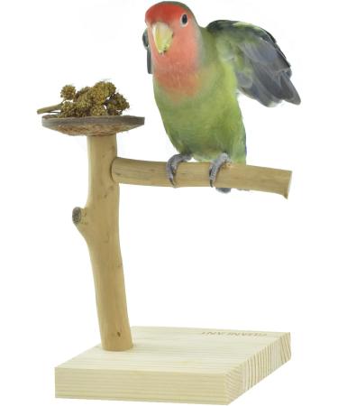 GUANLANT Natural Wood Bird Stand Feeder Toy - Tabletop Portable Parrot Perch Playstand with Feeding Bowl and Treats - Ideal for Parakeets, Conure, Budgies, Lovebirds - Buy Online on GoSupps.com