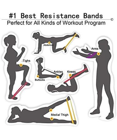 Buy Taview Natural Latex Resistance Loop Bands - Set of 5 (12 inch) for Stretching Physical Therapy Yoga & Home Fitness - Fast International Shipping - Buy Online on GoSupps.com