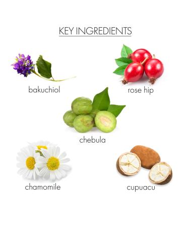 Whish Replenishing Day Cream with Bakuchiol | Retinol Alternative Face Moisturizer - Firming & Hydrating - Natural Ingredients - Paraben & Sulfate Free - 1 fl oz - Buy Online on GoSupps.com