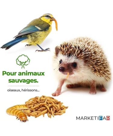 Dried Meal Worms - 160g 1L - Food for Fish Birds Turtles Hedgehogs Rodents and Reptiles - Buy Online on GoSupps.com