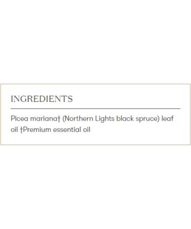 Young Living Northern Black Spruce Essential Oil 5ml - Fresh Aroma Energizing & Revitalizing - Ideal for Moisturizers - Shop Internationally - Buy Online on GoSupps.com