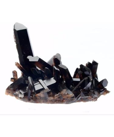 150g Beautiful Natural Clear Black Quartz Crystal Cluster Specimen Crystal Cluster - Buy Online on GoSupps.com